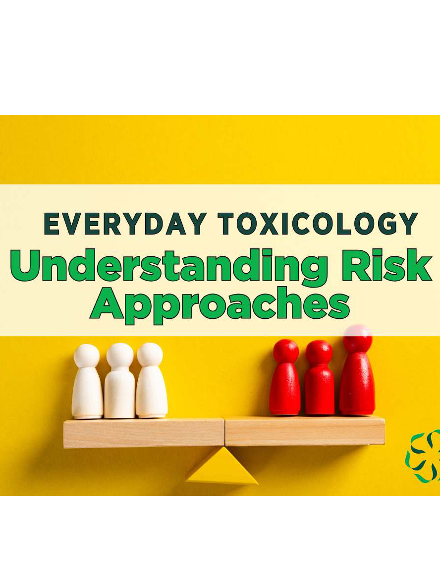 News from CRIS: Understanding Risk Assessment Approaches