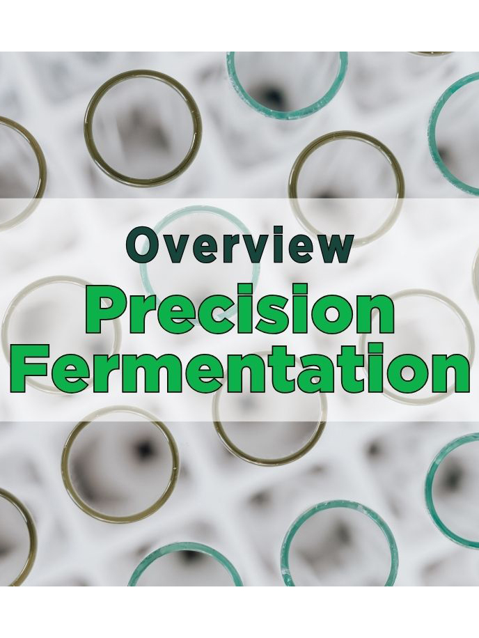 News from CRIS: Precision Fermentation - Overview