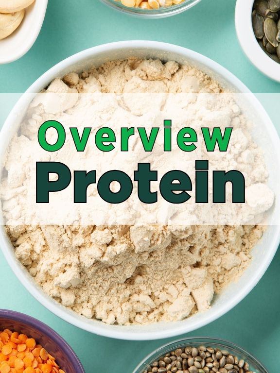 News from CRIS: Protein - Overview