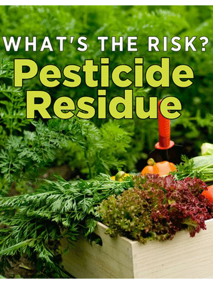 News from CRIS: What's the Risk? Pesticide Residues
