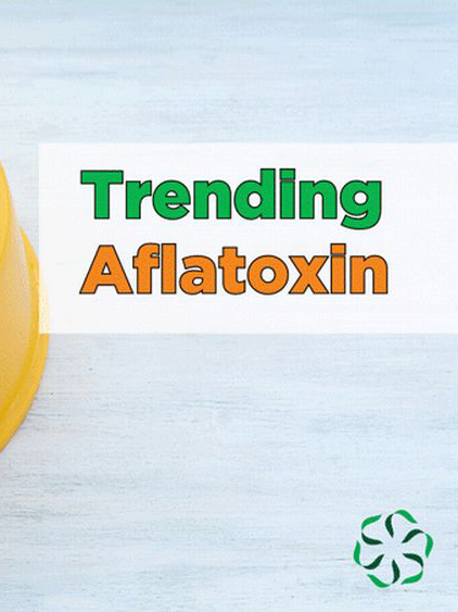 News from CRIS: Trending - Aflatoxins