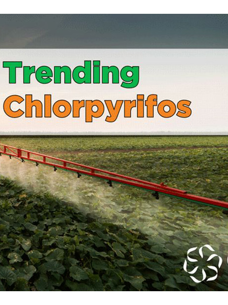 News from CRIS: Trending - Chlorpyrifos