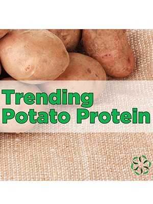 News from CRIS: Trending - Potato Protein