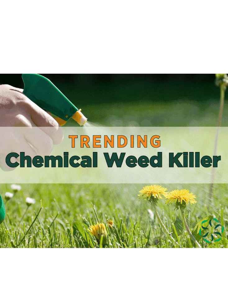 News from CRIS: Chemical Weed Killer